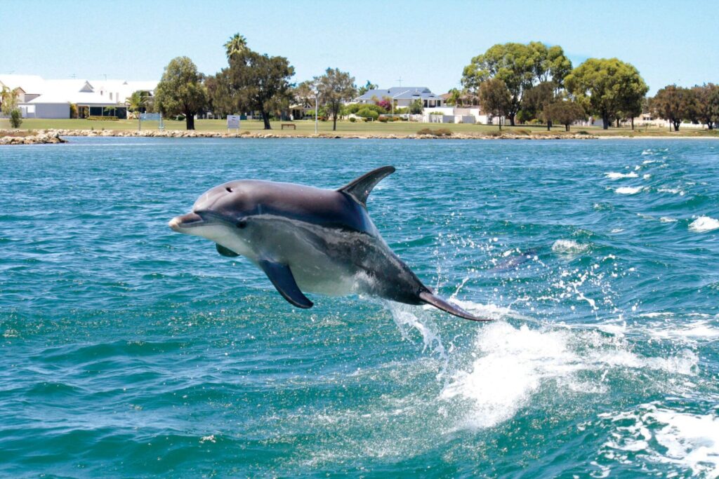 10+ Mandurah Adventure Group Program_Mighty Mentors