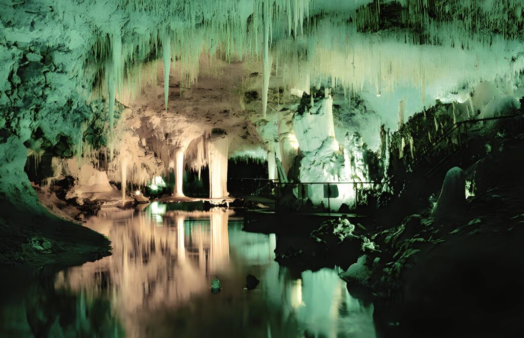 10+ Guilderton Adventure | NDIS Disability Group Program