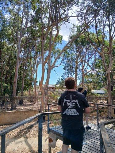 Mighty Mentors 18+ Turquoise Coast Explorer February 2025